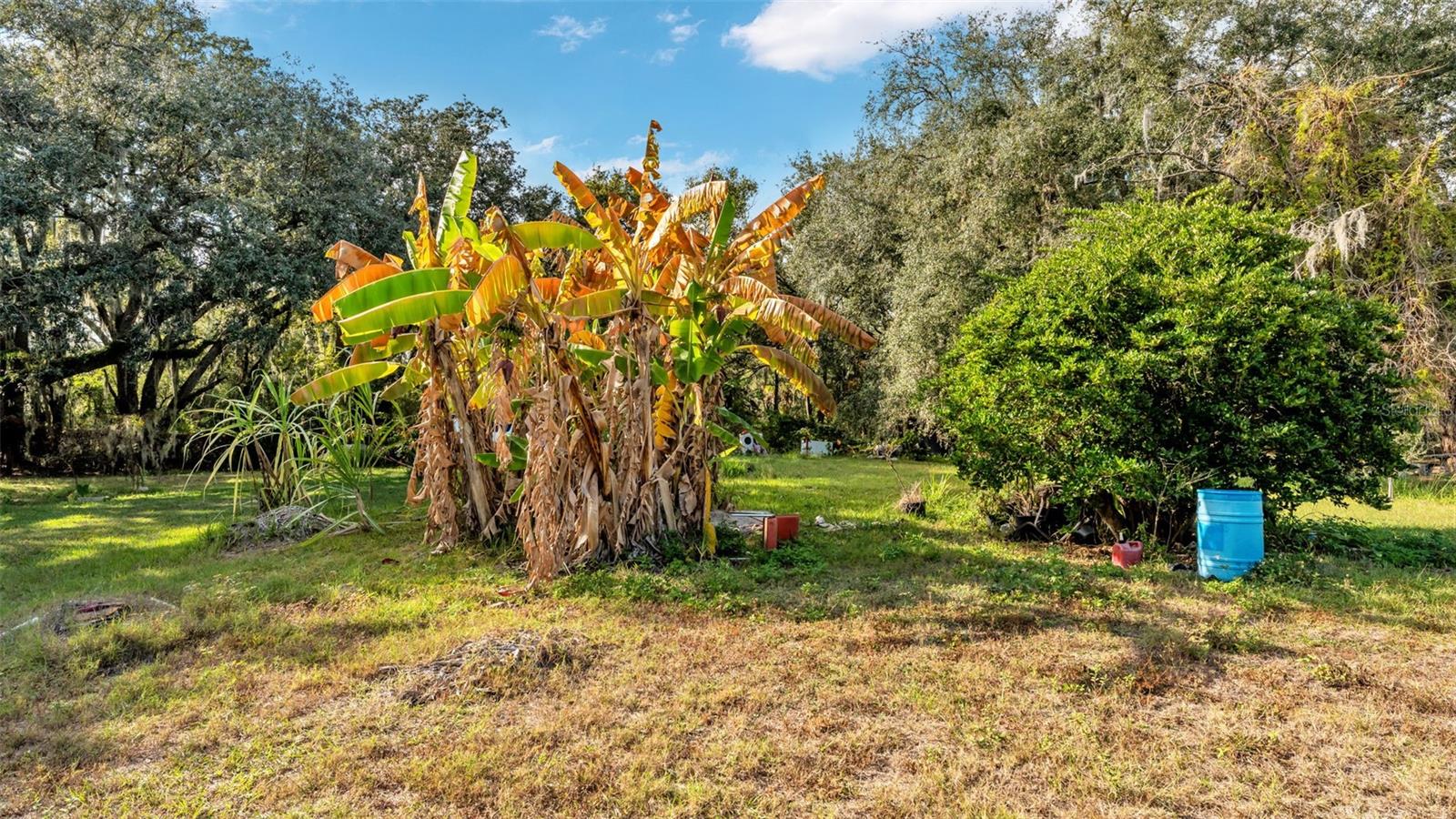 WEST PINECREST - Land