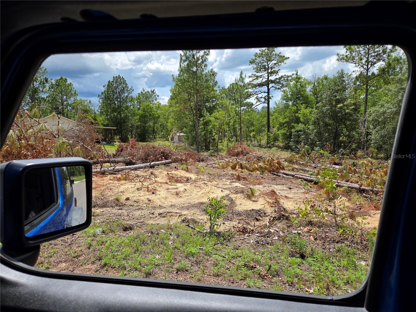 UPDATE, PARTICALLY CLEARED LOT...BEAUTIFUL CORNER LOCATION ON 2  PAVED ROADS - .24 ACRES with pines and oaks, perfect location to build your new home. Just 5 minutes to Williston, 30 minutes to Gainesville, Ocala, Bronson and the Gulf. Close to Cedar Key for fishing, boating, restaurants etc. Also near the Goethe State Forest for riding horses, hiking trails, picnicking, bird watching and seeing the Old Florida. No flood zone and no HOA fees.