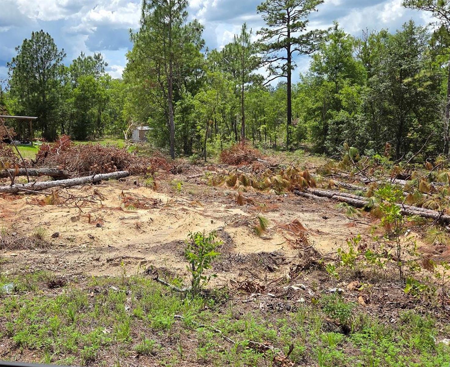 WILLISTON HIGHLANDS GOLF & C CLUB ESTATES - Land