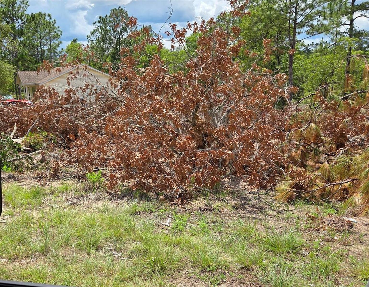 WILLISTON HIGHLANDS GOLF & C CLUB ESTATES - Land