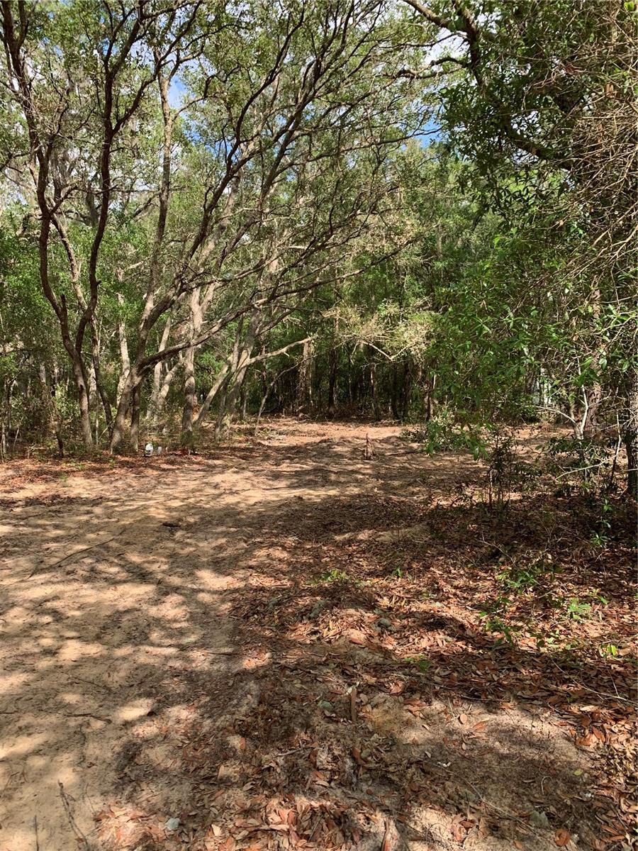 COOPER LAKE HILLS - Land