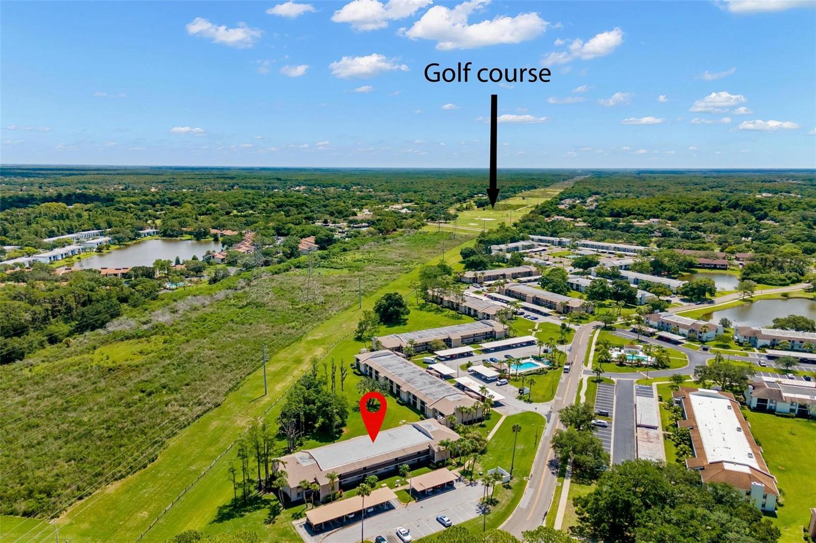 EAST LAKE WOODLANDS CONDO UNIT 7 - Residential