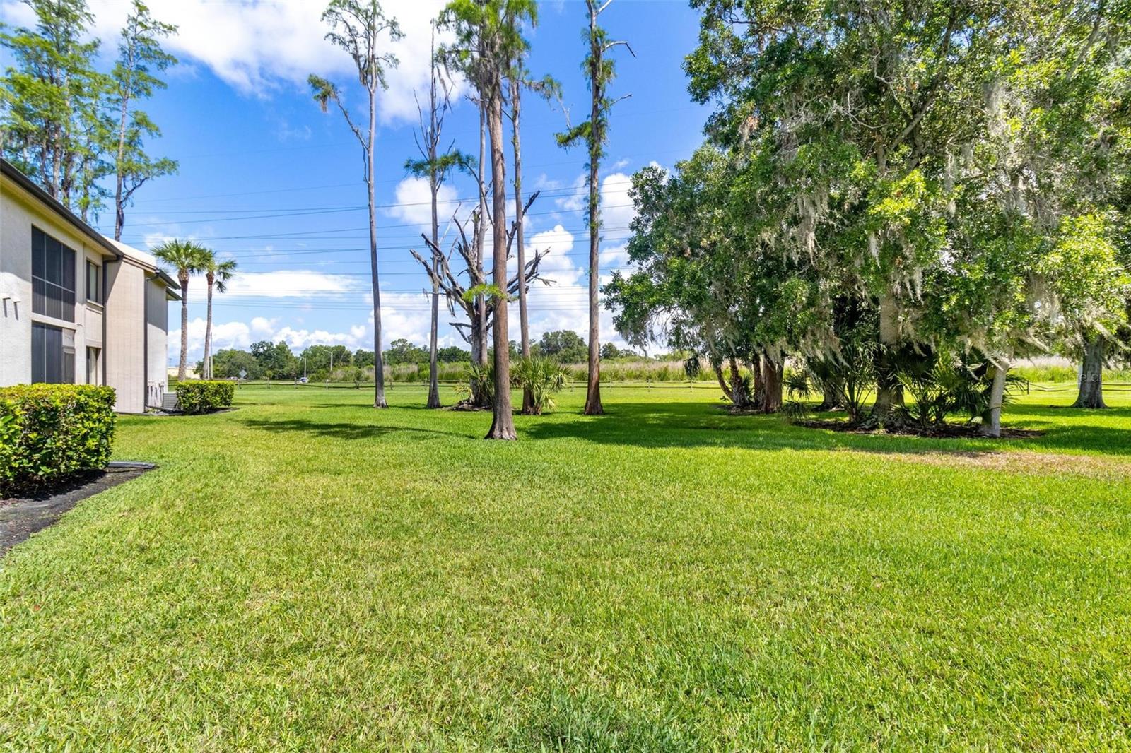 EAST LAKE WOODLANDS CONDO UNIT 7 - Residential