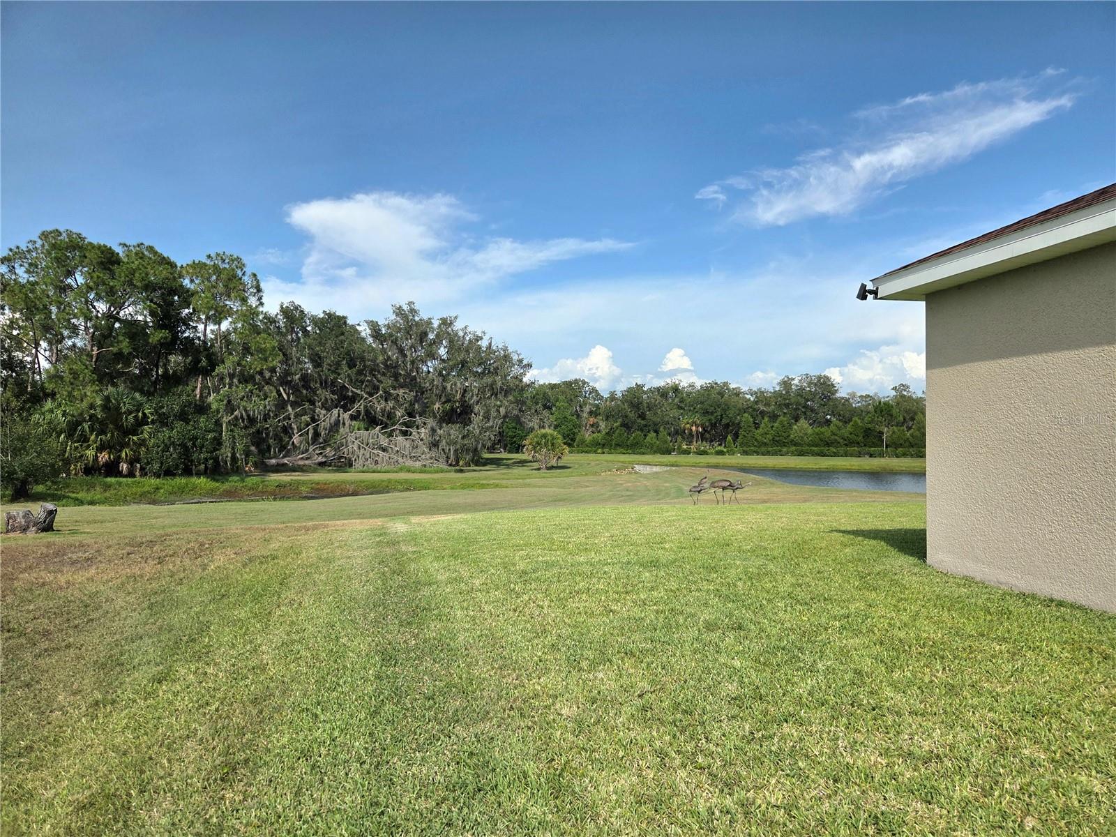 AVIARY AT RUTLAND RANCH PH 1A & 1B - Residential