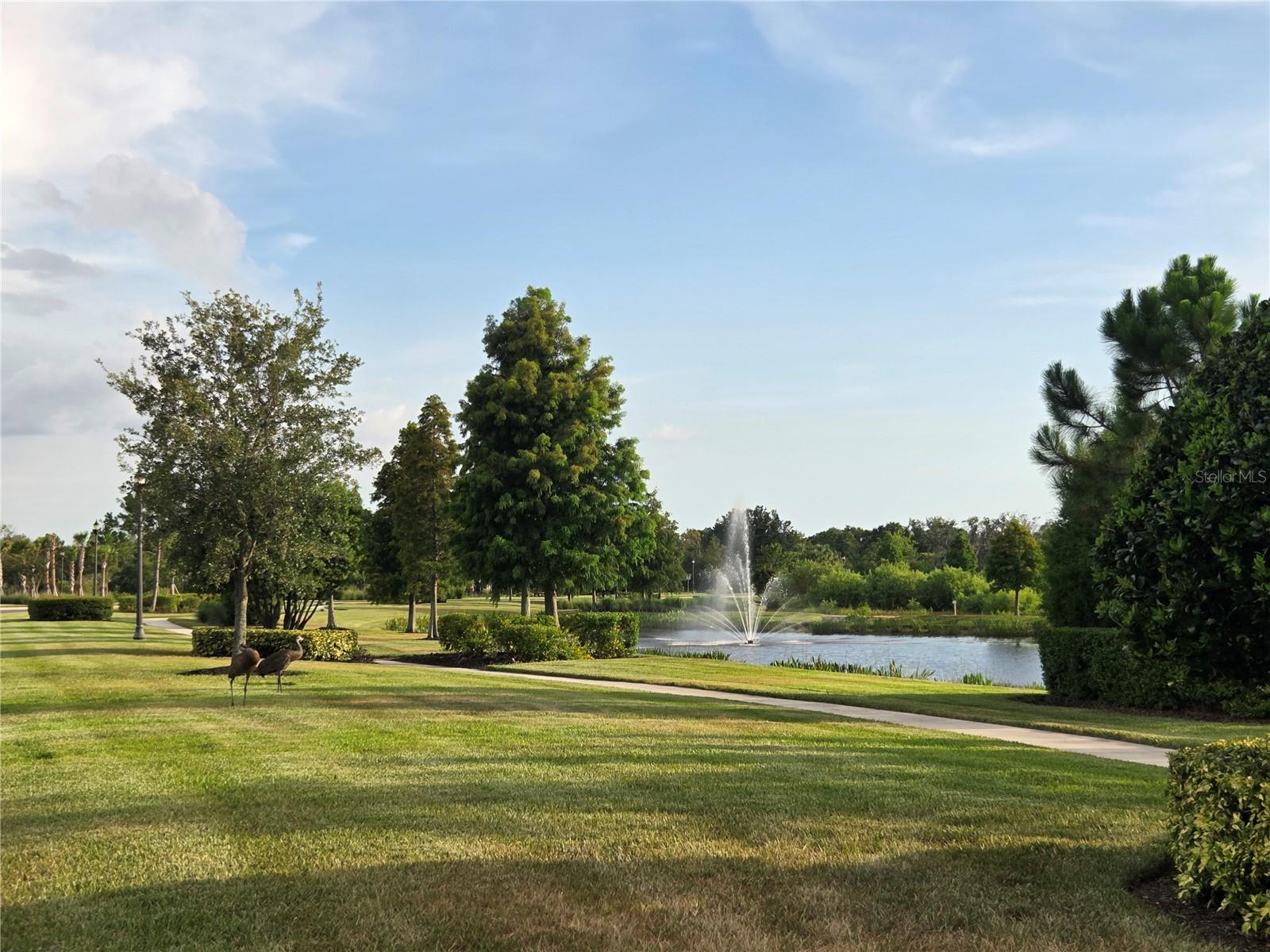 AVIARY AT RUTLAND RANCH PH 1A & 1B - Residential