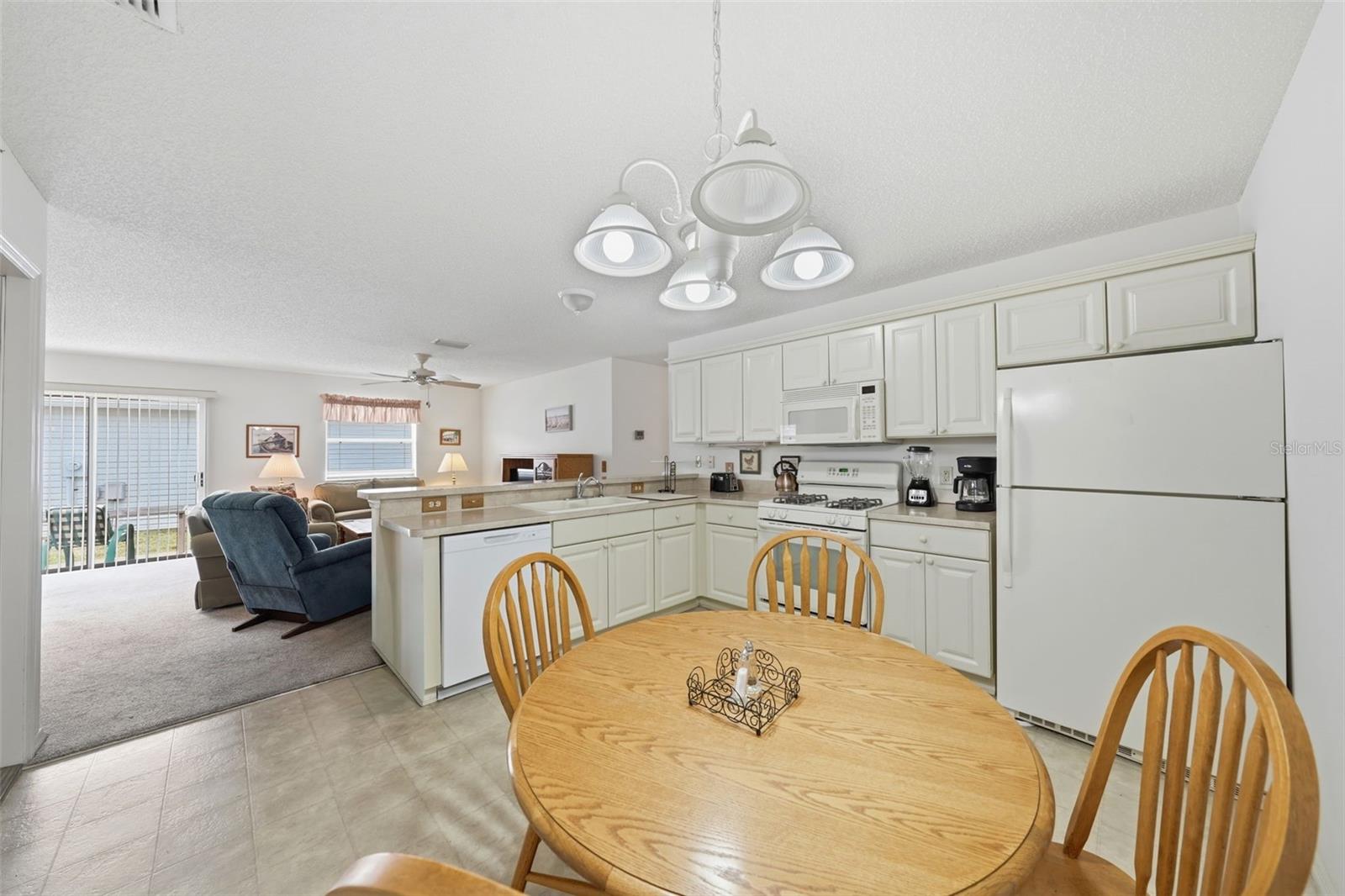VILLAGES OF SUMTER EDGEFIELD VILLAS - Residential