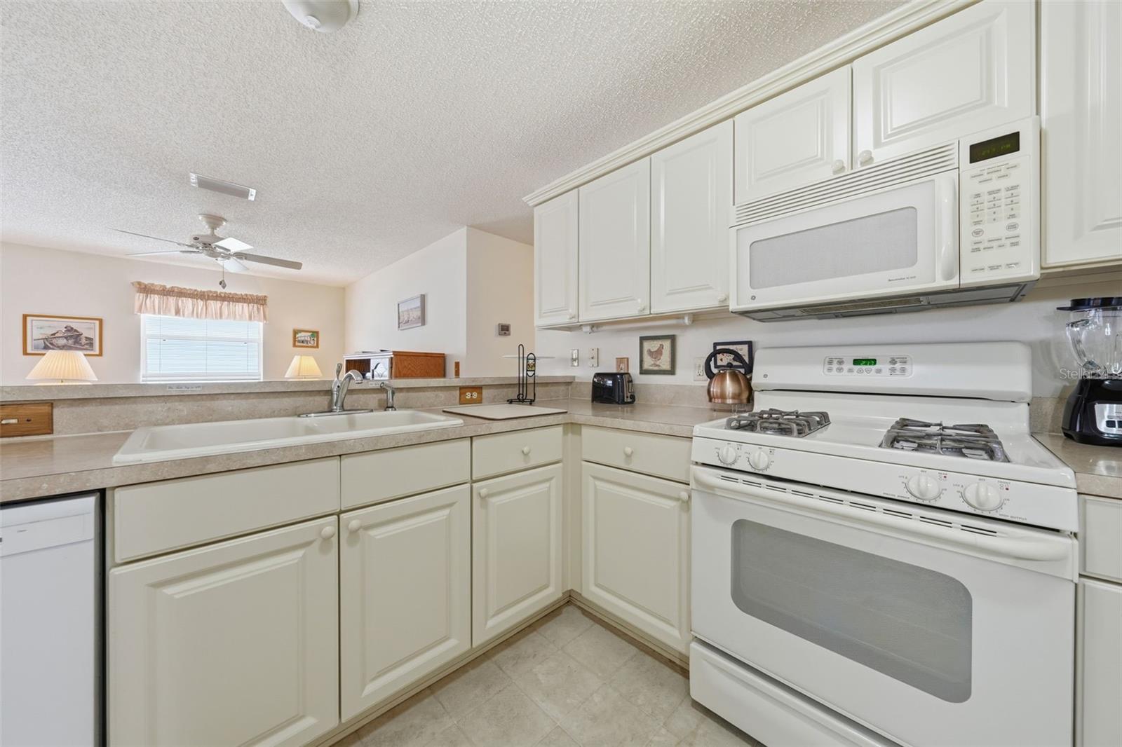 VILLAGES OF SUMTER EDGEFIELD VILLAS - Residential