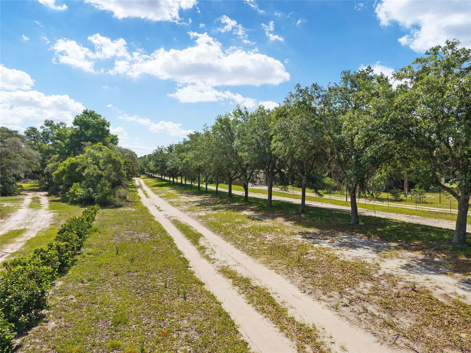 PEDRO ROLLING OAKS - Land