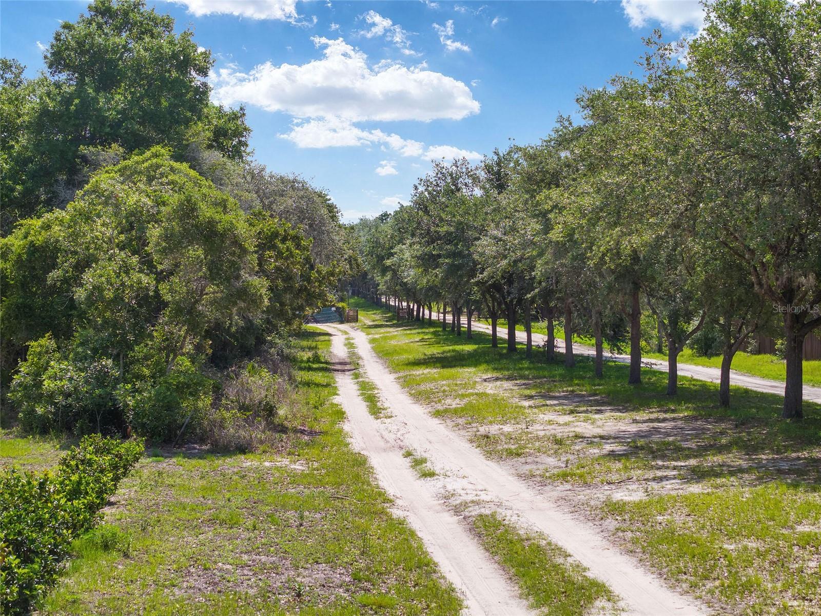 PEDRO ROLLING OAKS - Land