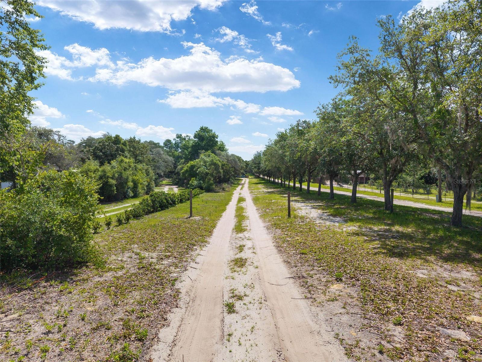 PEDRO ROLLING OAKS - Land