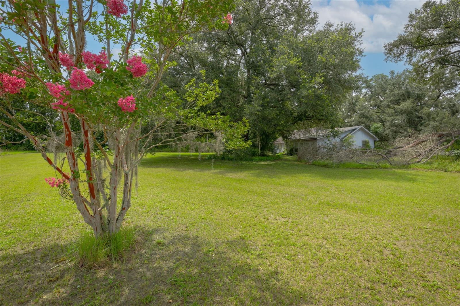 NOT IN SUBDIVISION - Residential