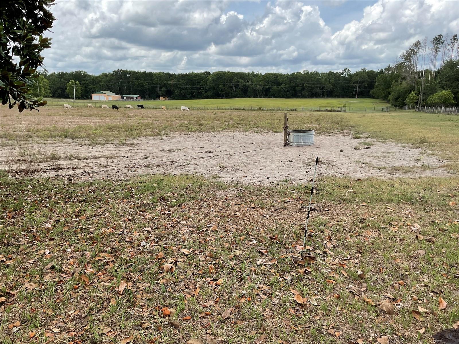 10 ACRES OF PASTURE with ADJACENT 20 ACRES ALSO AVAILABLE...land covered with grass and other low plants suitable for grazing animals, especially cattle, horse or sheep. Fully fenced with some nice trees but mostly open pasture.  This 10 acres has a 1984 fixer upper mobile on it. The property is currently leased for Agricultural use until January, however the lease can be transferred to a buyer.  The two adjacent 10 acre parcels are available for $225k each.  You can buy one, two or all three!  Just off of Hwy. 337 down from Blk Prong Equestrian Center with a Luxury RV resort, camping, bar & grill, pool and equestrian events.  5 minutes to downtown Bronson our County Seat, 15 minutes to Williston for shopping, salons, schools, etc. , Gainesville and Ocala 40 minutes, Cedar Key 25 minutes for restaurants, fishing, boating on the gulf. Cash only.