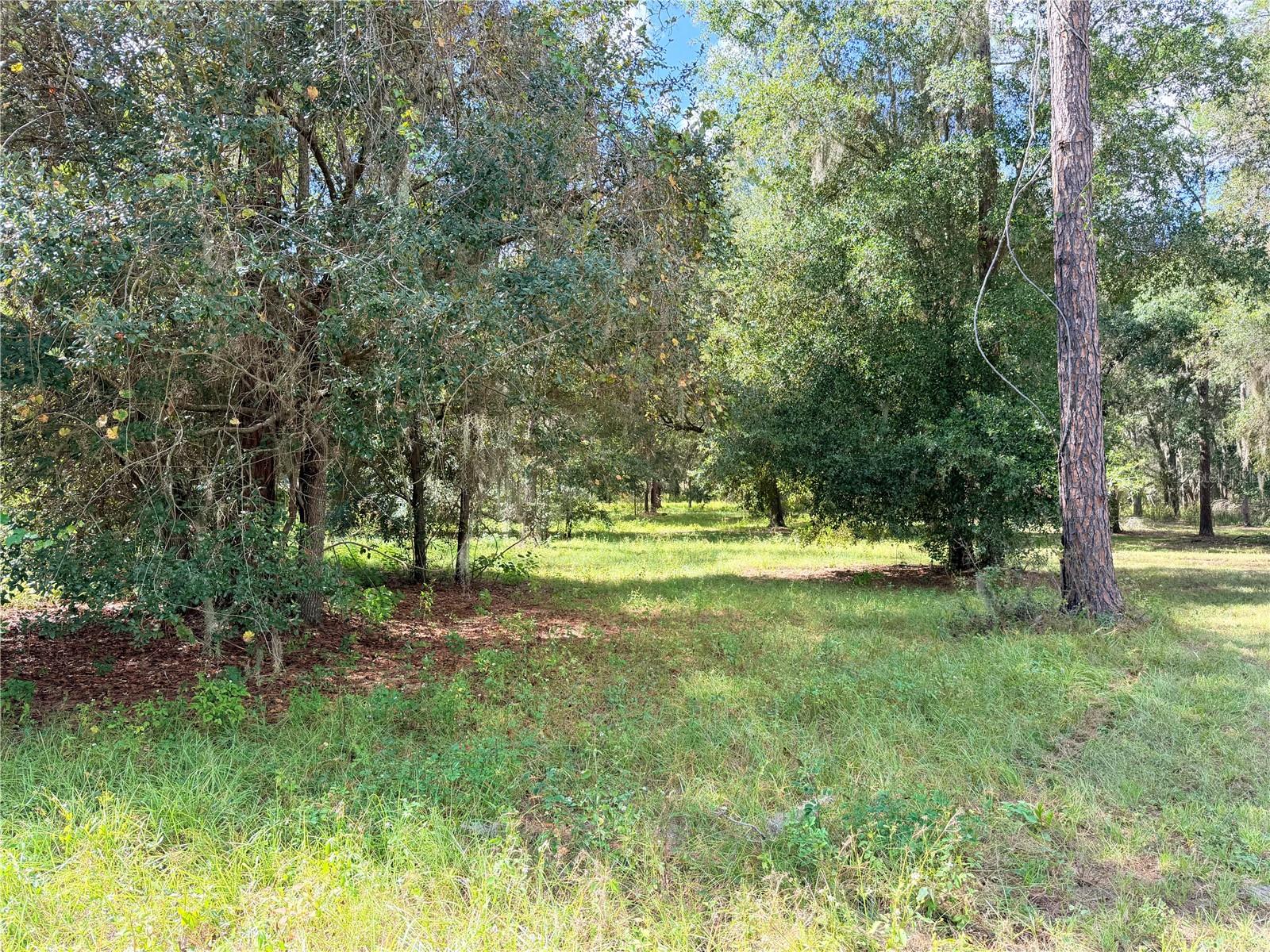 MULTI FAMILY DWELLINGS PERMISSABLE! Prettiest Lot in the Reserve. Call your REALTOR for ariel maps, overlays, etc. Located in the pristine GATED community of Clearwater Reserve, this beautiful 10 acre piece has mature Oaks and Pines. This community is a hidden gem in Lake County Florida, giving you the acreage and lake access you have longed for with peace and serenity awaiting your custom home to be built. Located near the Florida Turnpike. BOUNUS - SELLER IS THROWING IN A NEW POLARIS RANGER SIDE BY SIDE (ask for a picture to be sent), This is a GATED community. In order to see the property a Realtor will need to assist. This lot is governed by Lake County. Speak with your REALTOR to answer questions. Community fishing dock and tennis courts. Not far from stores and the Florida Turnpike, yet rural enough to enjoy the country life you have been longing for.> 2.1 ACRES OF HIGH AND DRY LAND TO BUILD ON.