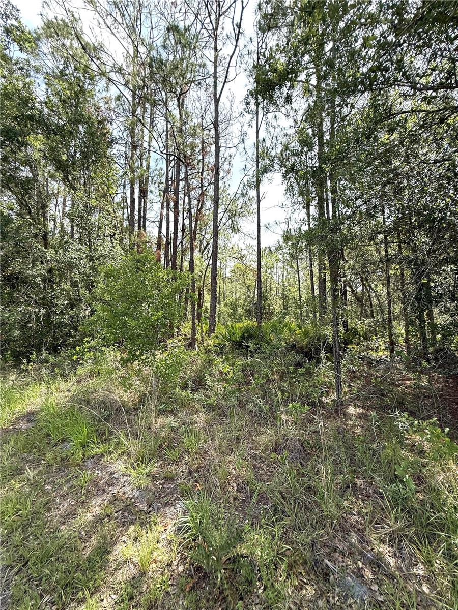 LAKE CALOOSA LANDING PH 01 - Land
