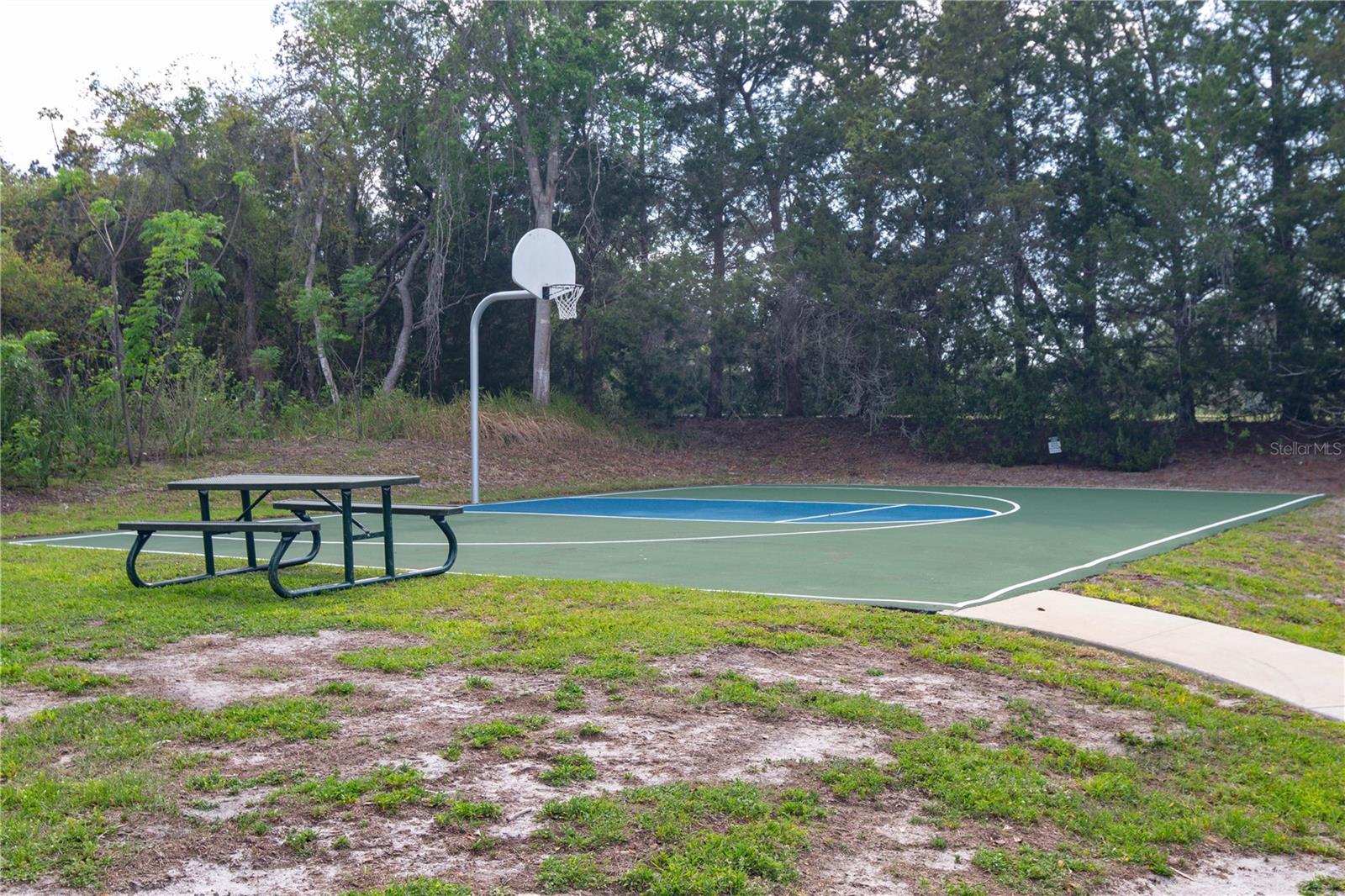WATERS OF WEEKI WACHEE - Residential