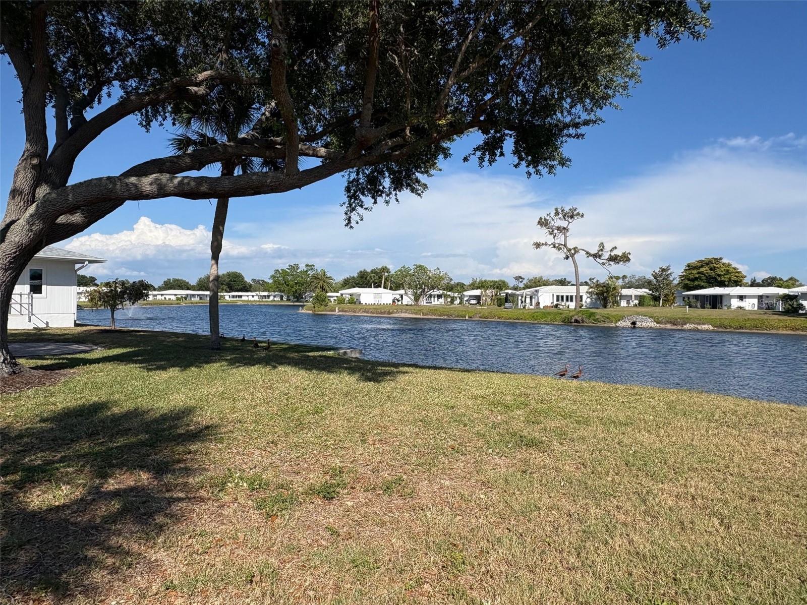 CIRCLE WOODS OF VENICE 2 - Residential
