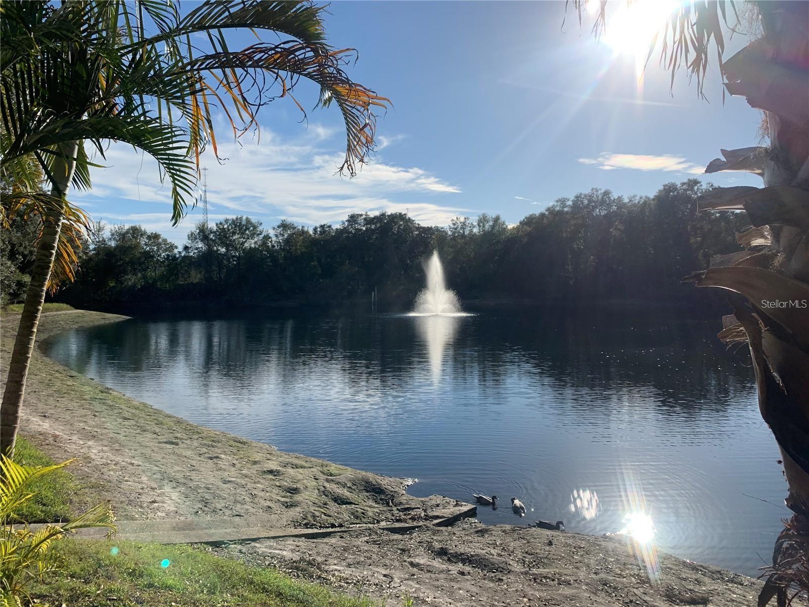 WEDGE WOOD OF PALM HARBOR UNIT 1 - Residential Lease