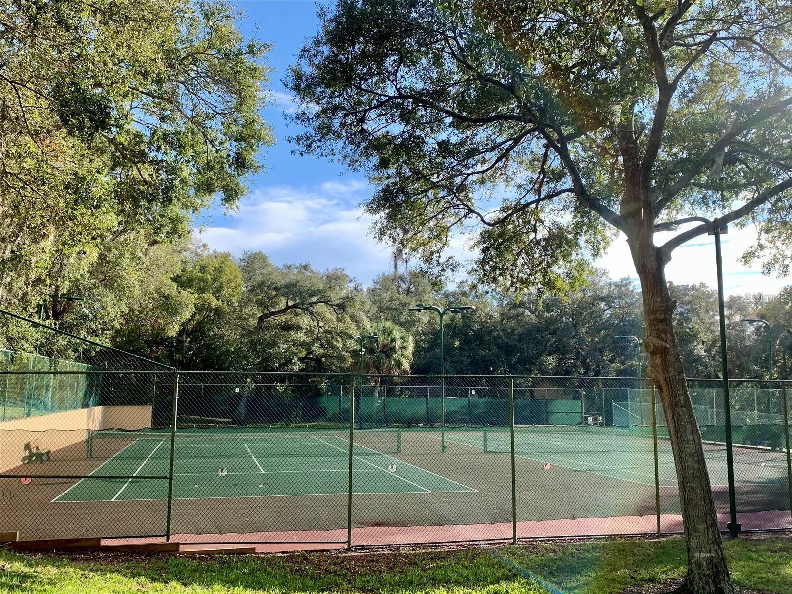 WEDGE WOOD OF PALM HARBOR UNIT 1 - Residential Lease