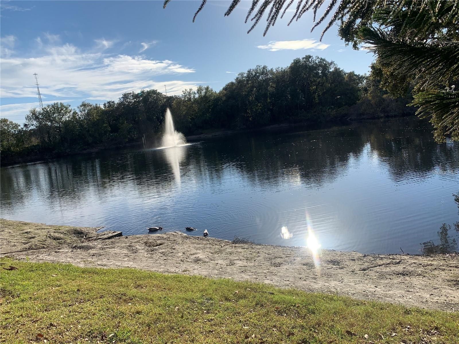 WEDGE WOOD OF PALM HARBOR UNIT 1 - Residential Lease