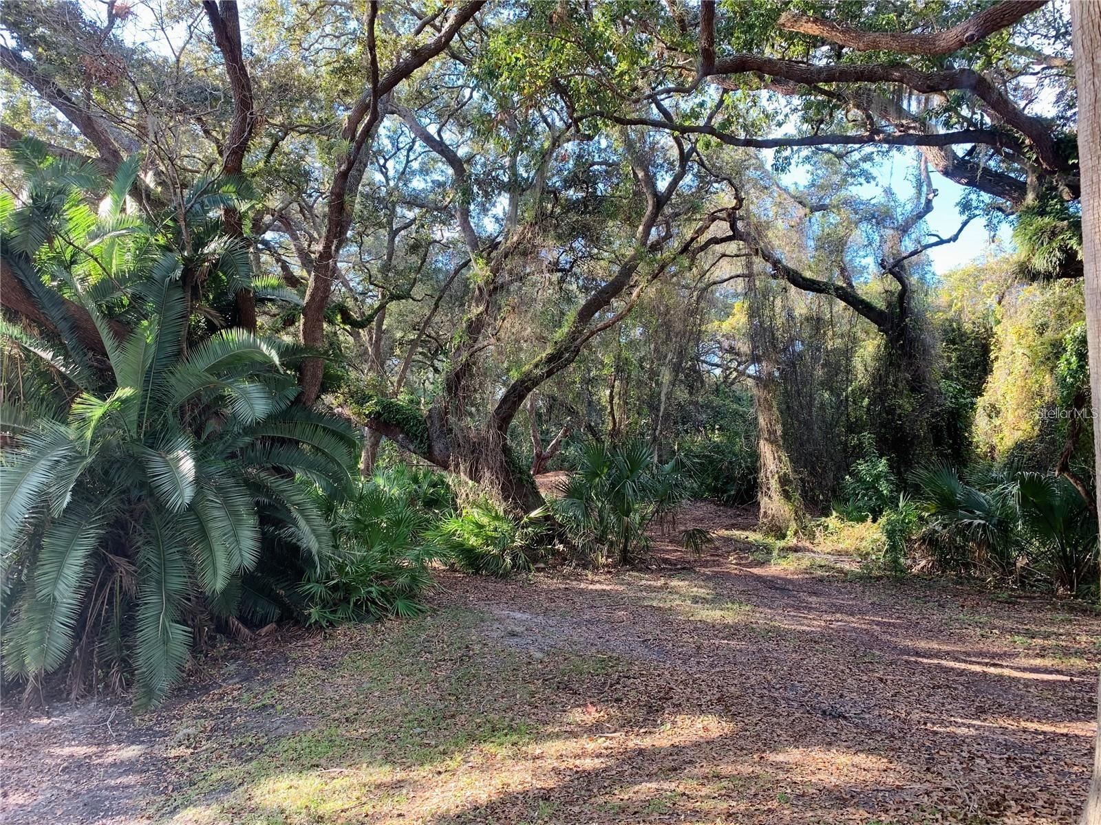 WEDGE WOOD OF PALM HARBOR UNIT 1 - Residential Lease