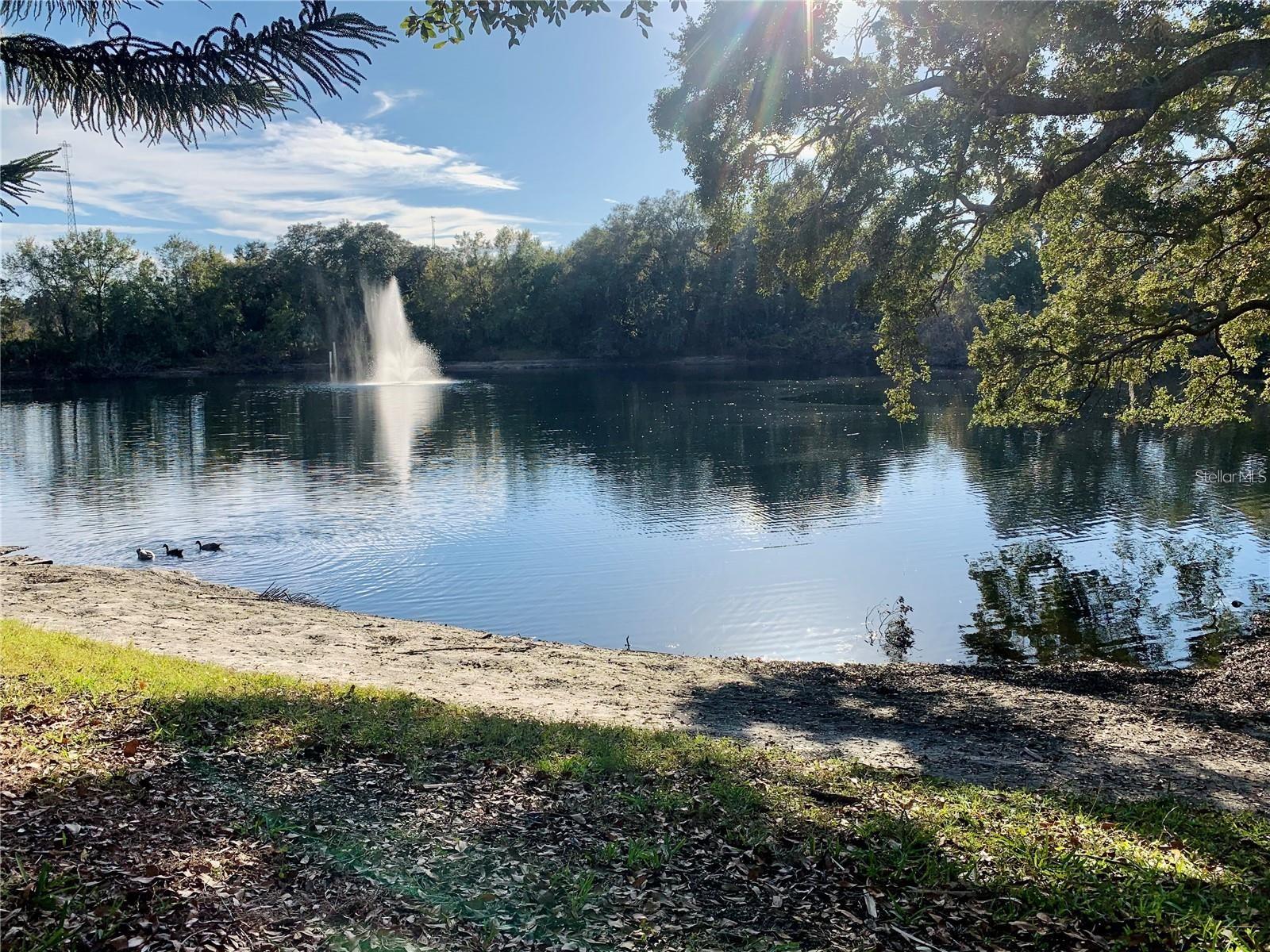 WEDGE WOOD OF PALM HARBOR UNIT 1 - Residential Lease