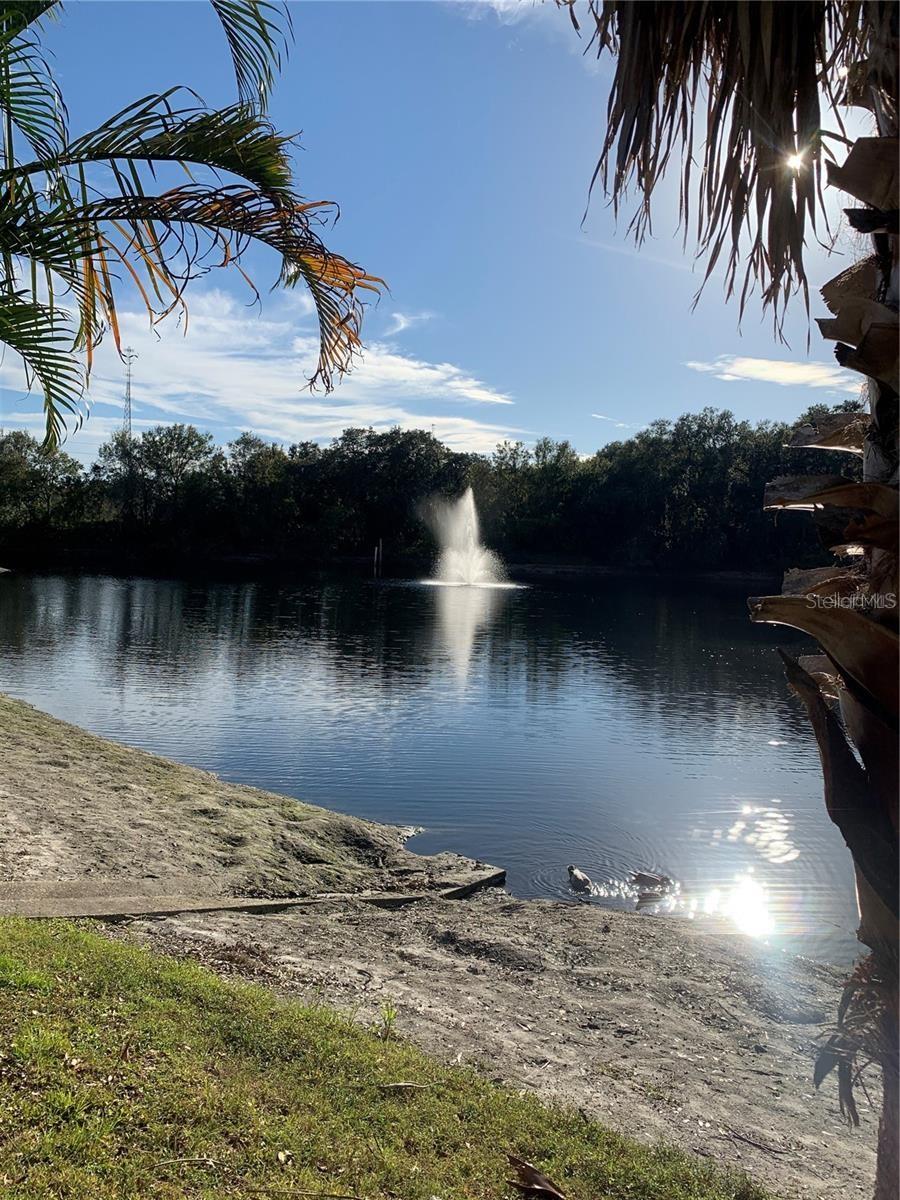 WEDGE WOOD OF PALM HARBOR UNIT 1 - Residential Lease