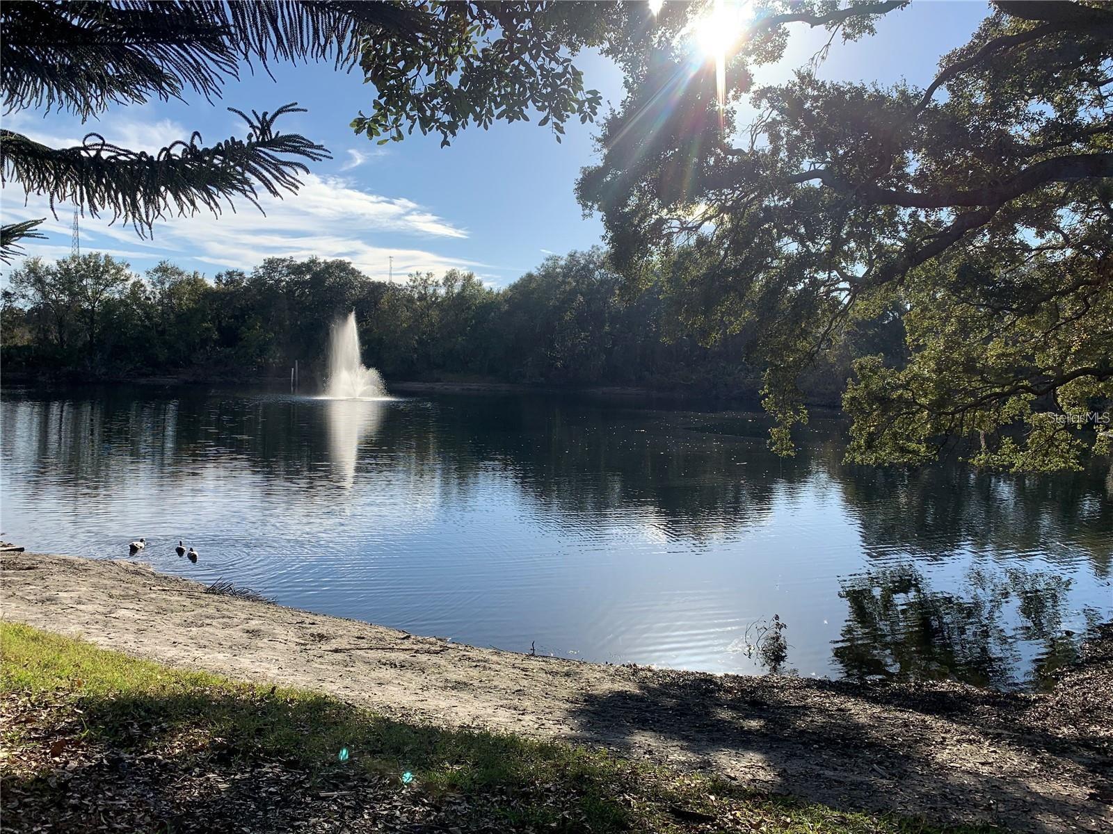 WEDGE WOOD OF PALM HARBOR UNIT 1 - Residential Lease