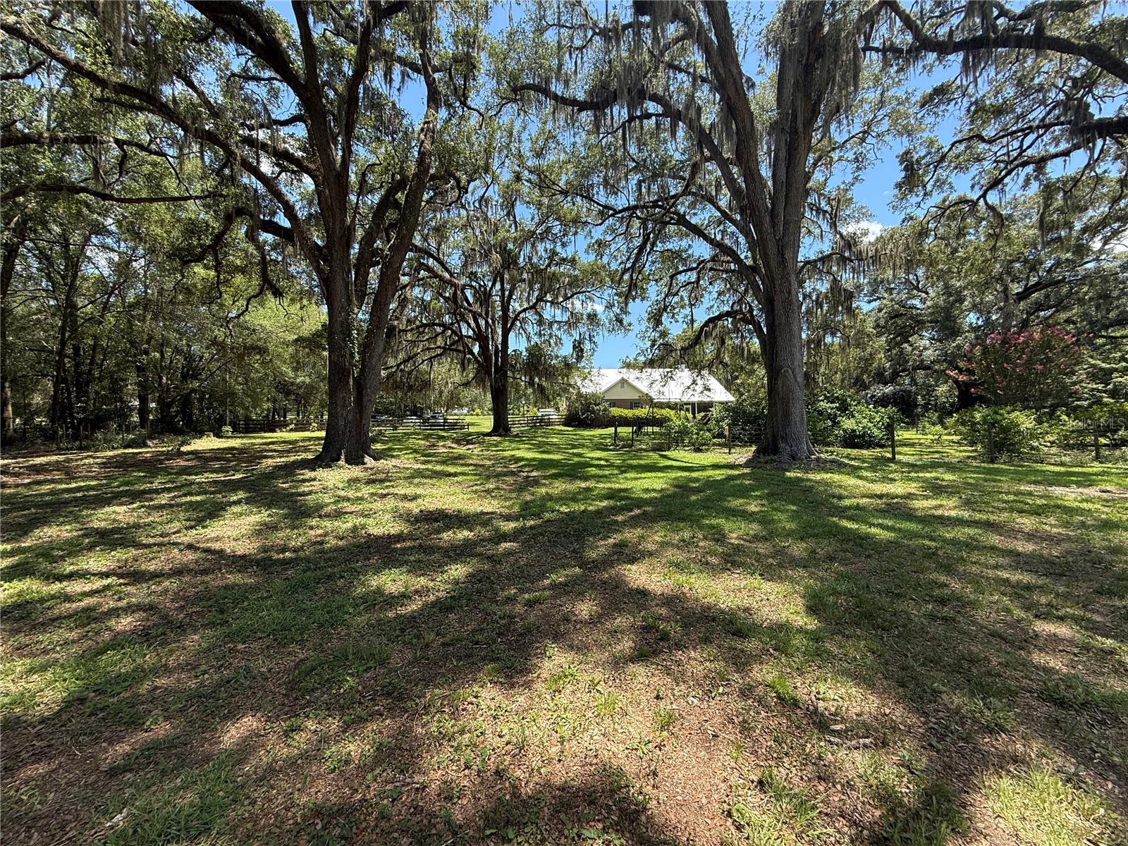 ALACHUA HIGHLANDS - Residential