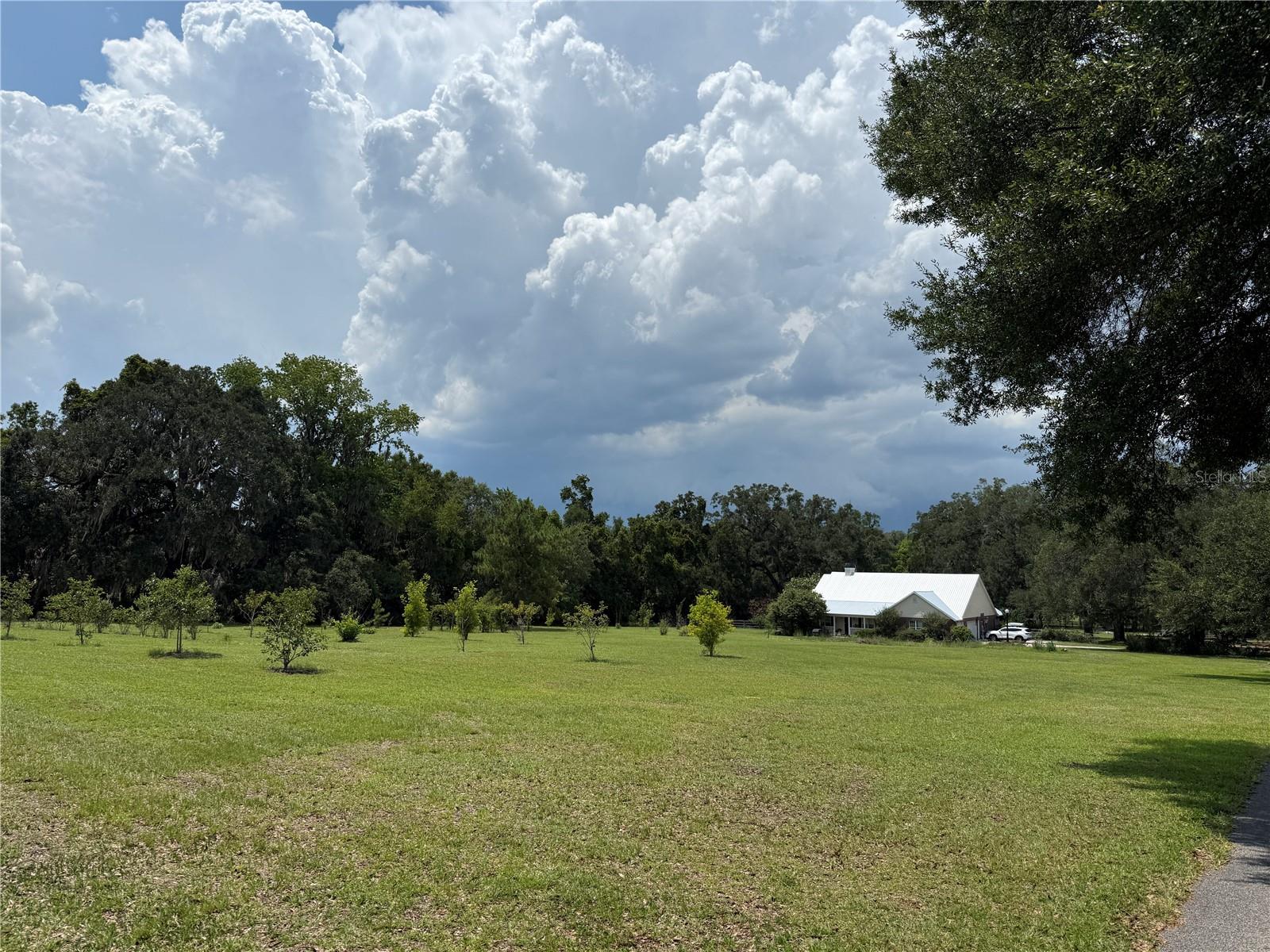 ALACHUA HIGHLANDS - Residential