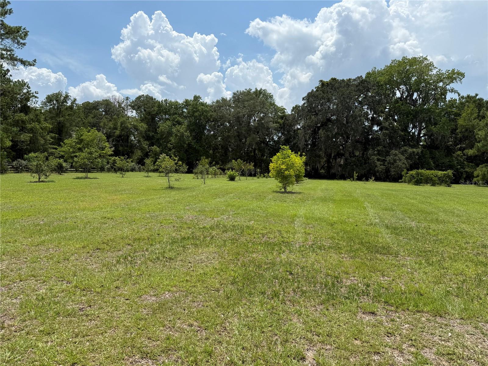 ALACHUA HIGHLANDS - Residential
