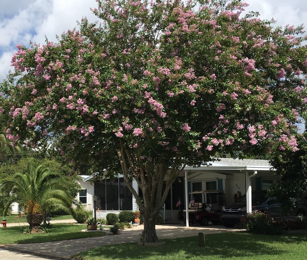 This bright and charming home is filled with updates and thoughtful touches, making it the perfect place to call home.  The beautifully maintained and carefully designed landscaping make the lot not only a treat for the eyes but also provides a tremendous amount of privacy. The oversized carport easily fits two cars and has additional space for your golf cart. The screened in patio at the rear also opens to allow secure golf cart and bike storage.  As you enter, the open floor plan and vaulted ceilings create a bright and welcoming space. Turn the corner to your formal dining open to your HUGE fully renovated kitchen, with eat in peninsula, large prep island, new appliances, soft close drawers, pull out cabinets, and built in wine rack.  Open the sliders onto the spacious screened porch, the solar screens provide extra privacy, block harmful UV ray, and even keep out pesky gnats and mosquitoes so you can enjoy the patio in peace. 

Just off the kitchen is the media room and a large family room for additional entertaining space.  Down the hall are the guest bedroom and fully remodeled guest bath. At the end of the hall you enter the lovely and spacious master bedroom with tons of natural light and walk in closet.  The updated ensuite bathroom features double sinks, vanity space and a newly remodeled shower.  

Additional features include private backyard space surrounded by lush landscaping, inclosed outdoor storage space, hurricane shutters,  new double hung double pane pivot windows. This home meets current Miami Dade  hurricane guidelines for manufactured homes and is located in an elevated area of the community. Close to Walgreens and Publix in Edgewater Commons Shopping Center. Community dues include  common spaces, basic cable, internet, club house, pool tennis, bacci, boat launch, 1 space for boat or RV storage, fishing dock access, fitness center, game room. ;Water: City