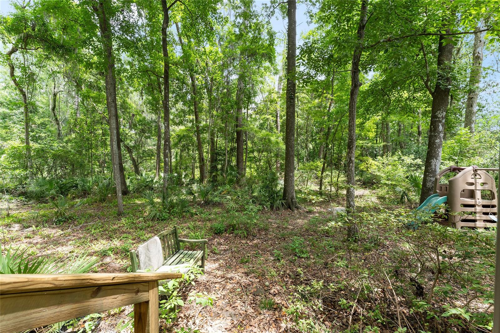 BLUES CREEK - Residential