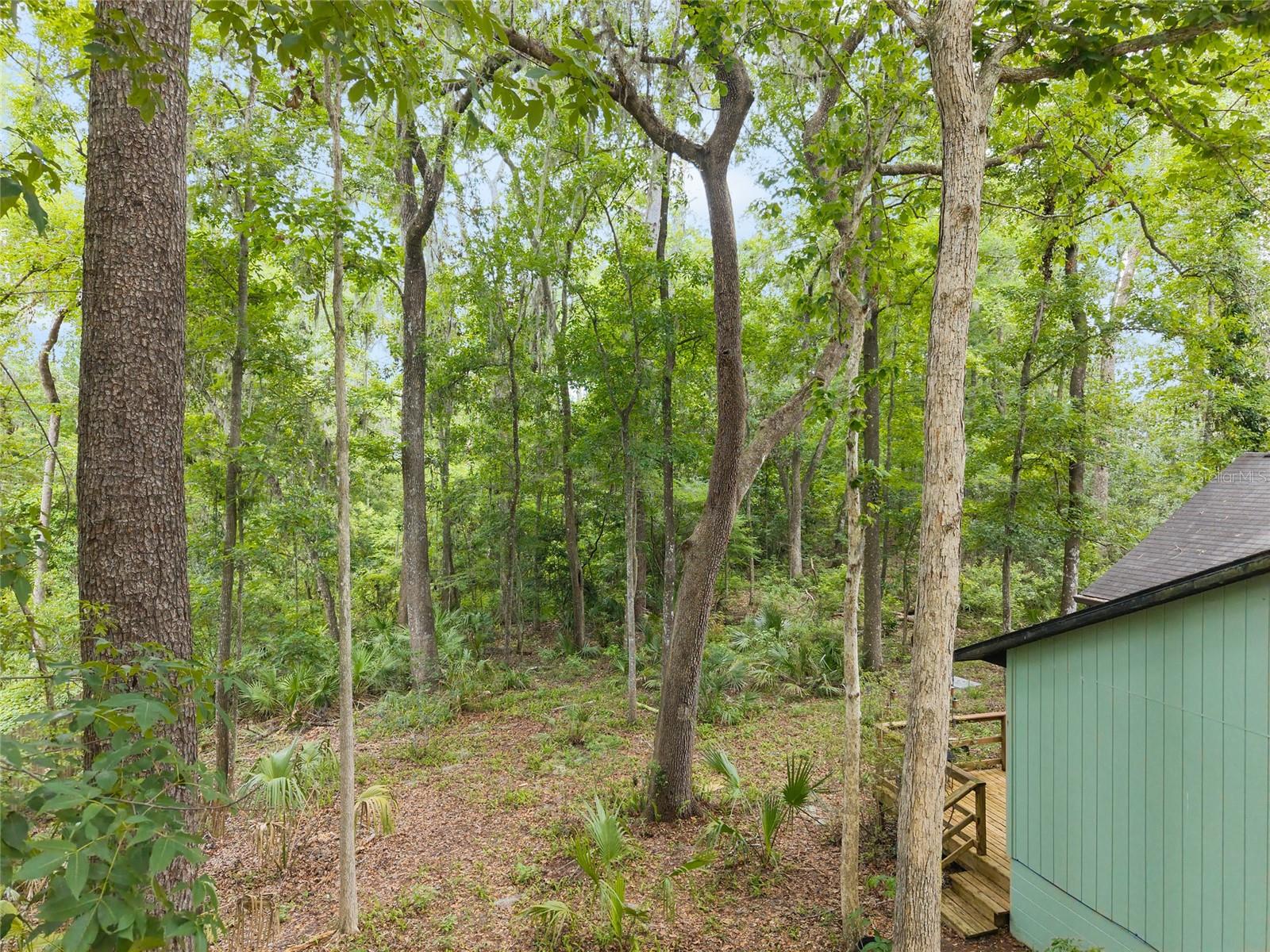 BLUES CREEK - Residential