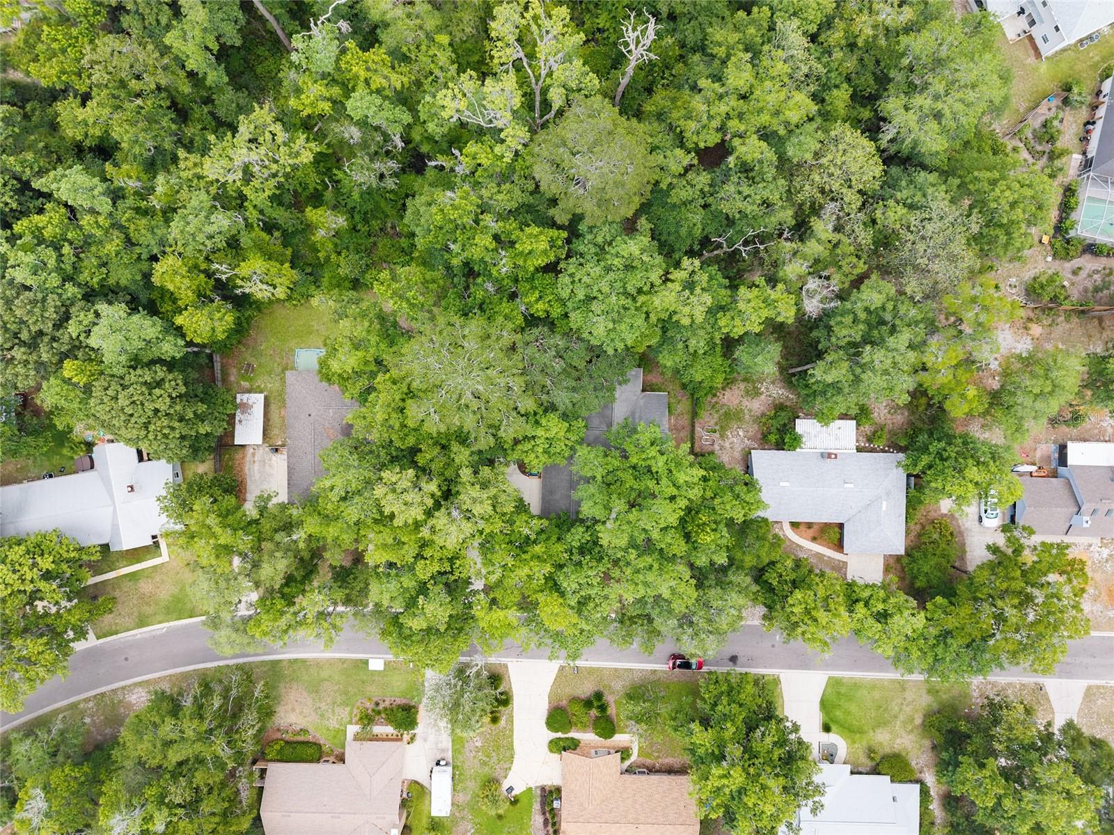 BLUES CREEK - Residential