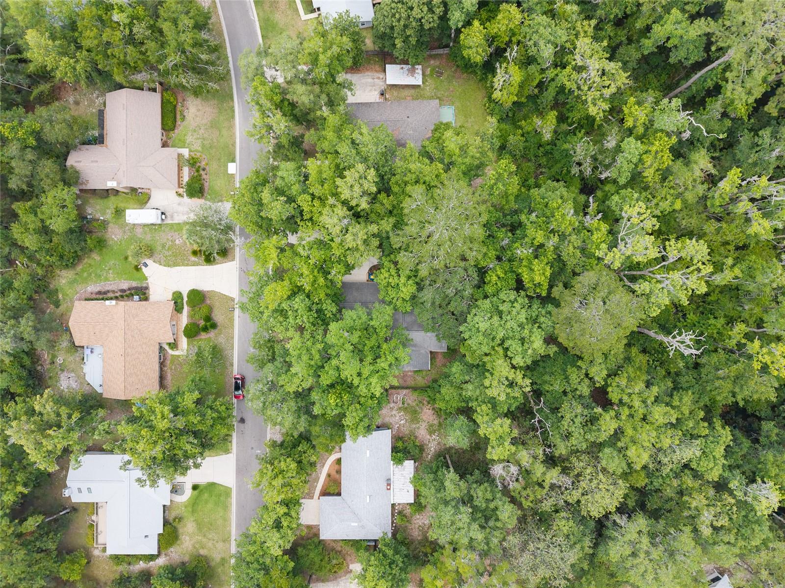 BLUES CREEK - Residential