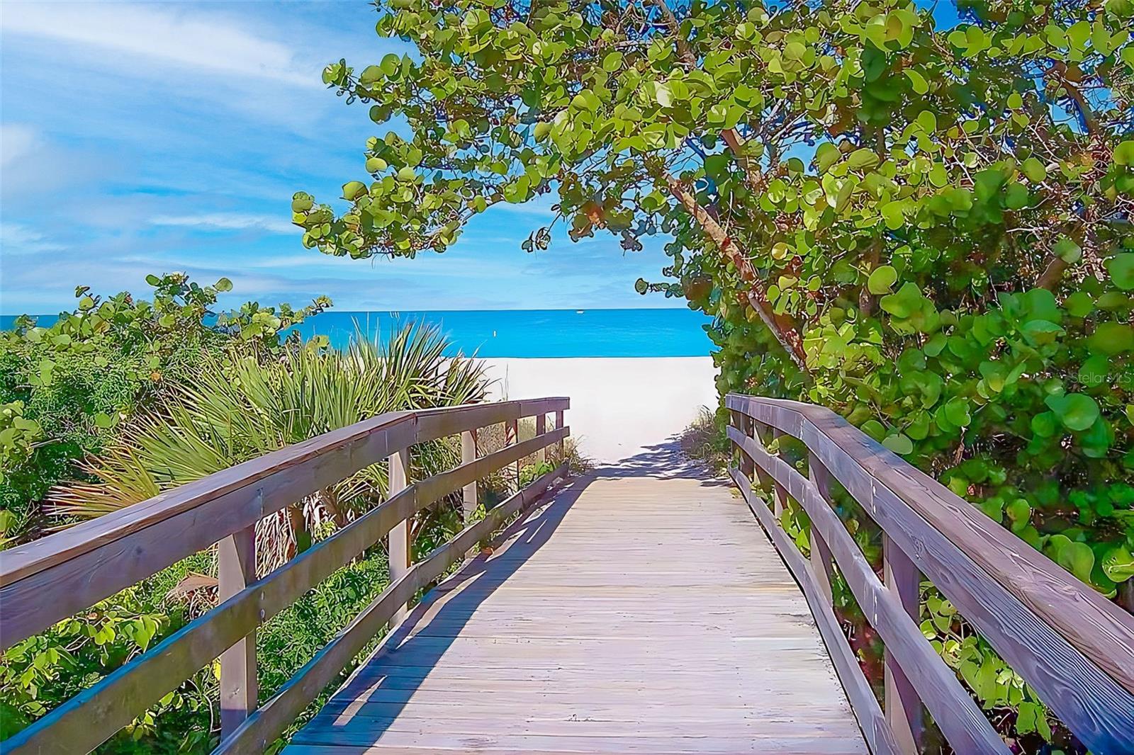 FLORIDA TROPICAL HOMESITES & LITTLE FARMS - Residential