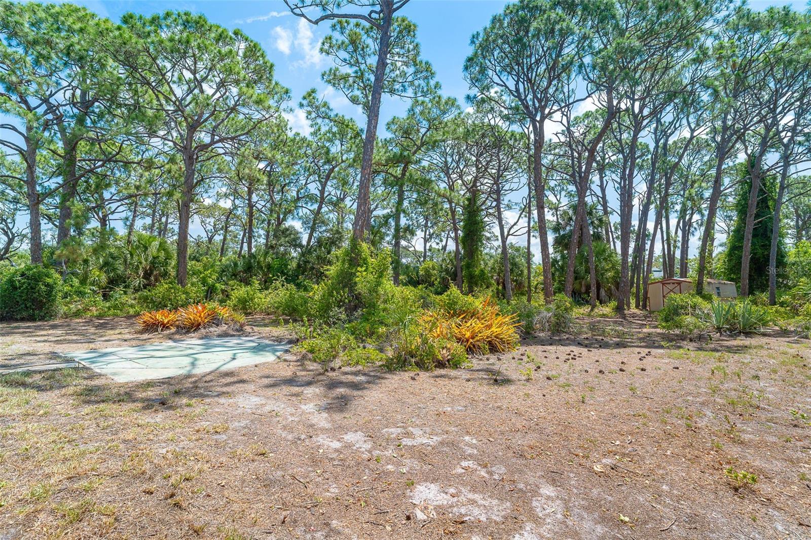 FLORIDA TROPICAL HOMESITES & LITTLE FARMS - Residential