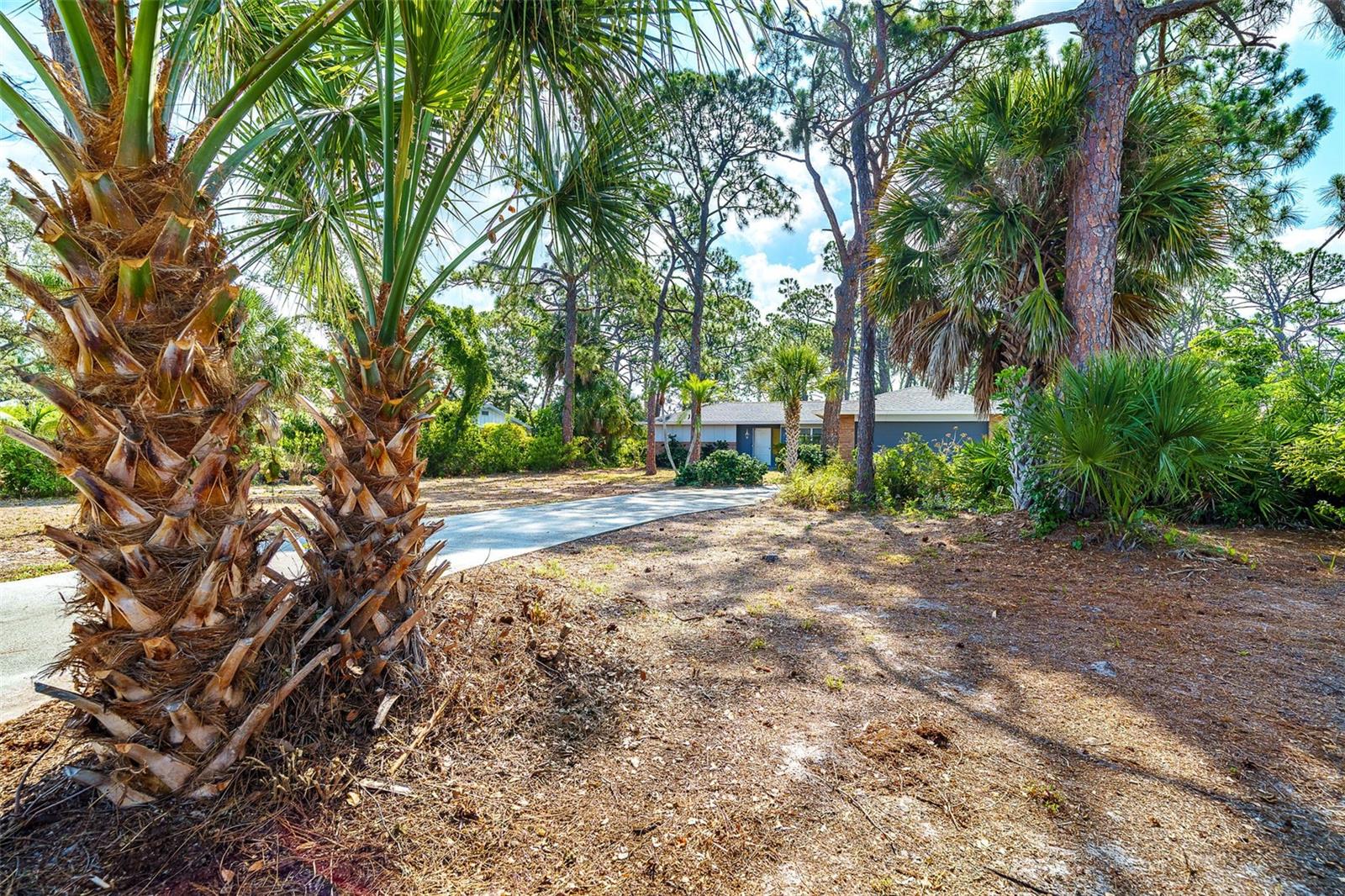 FLORIDA TROPICAL HOMESITES & LITTLE FARMS - Residential
