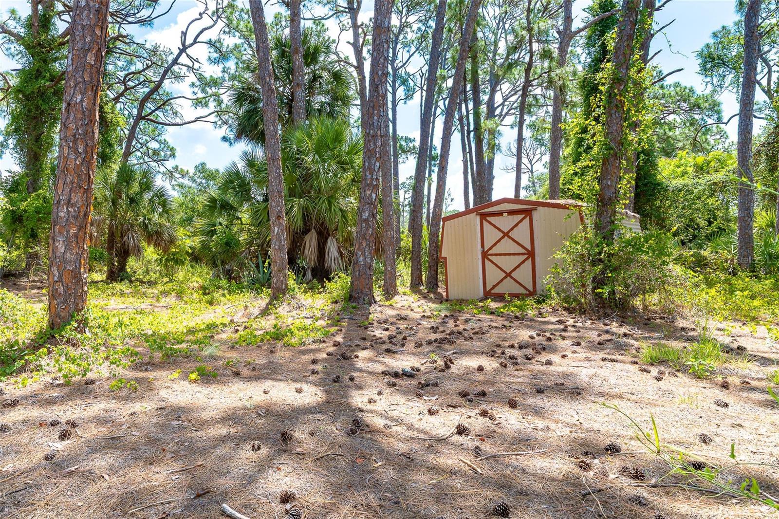 FLORIDA TROPICAL HOMESITES & LITTLE FARMS - Residential