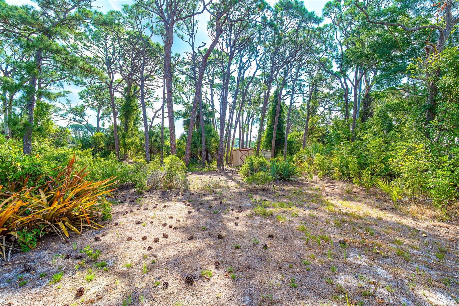 FLORIDA TROPICAL HOMESITES & LITTLE FARMS - Residential