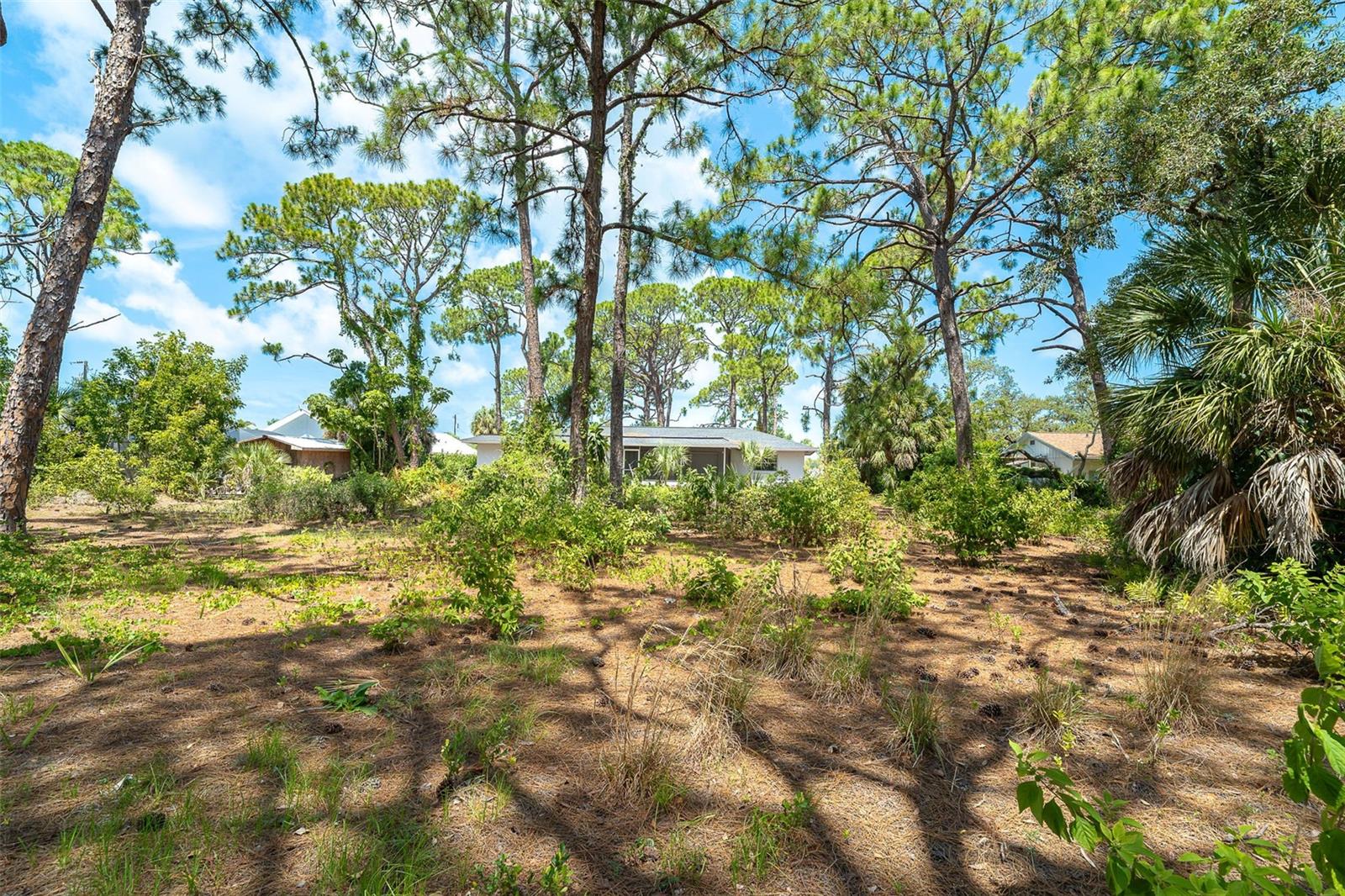 FLORIDA TROPICAL HOMESITES & LITTLE FARMS - Residential