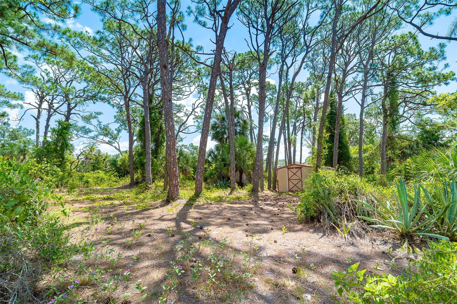 FLORIDA TROPICAL HOMESITES & LITTLE FARMS - Residential
