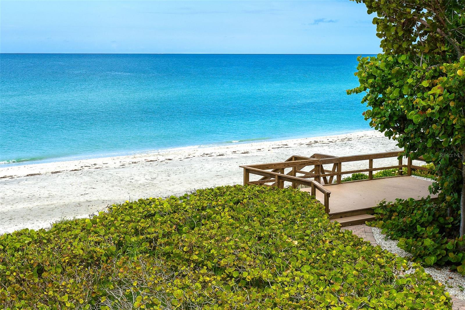 FLORIDA TROPICAL HOMESITES & LITTLE FARMS - Residential