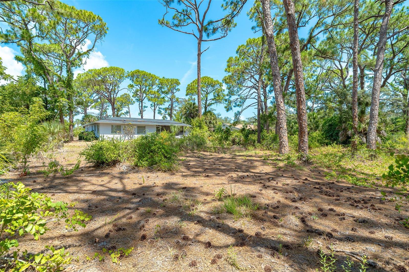 FLORIDA TROPICAL HOMESITES & LITTLE FARMS - Residential