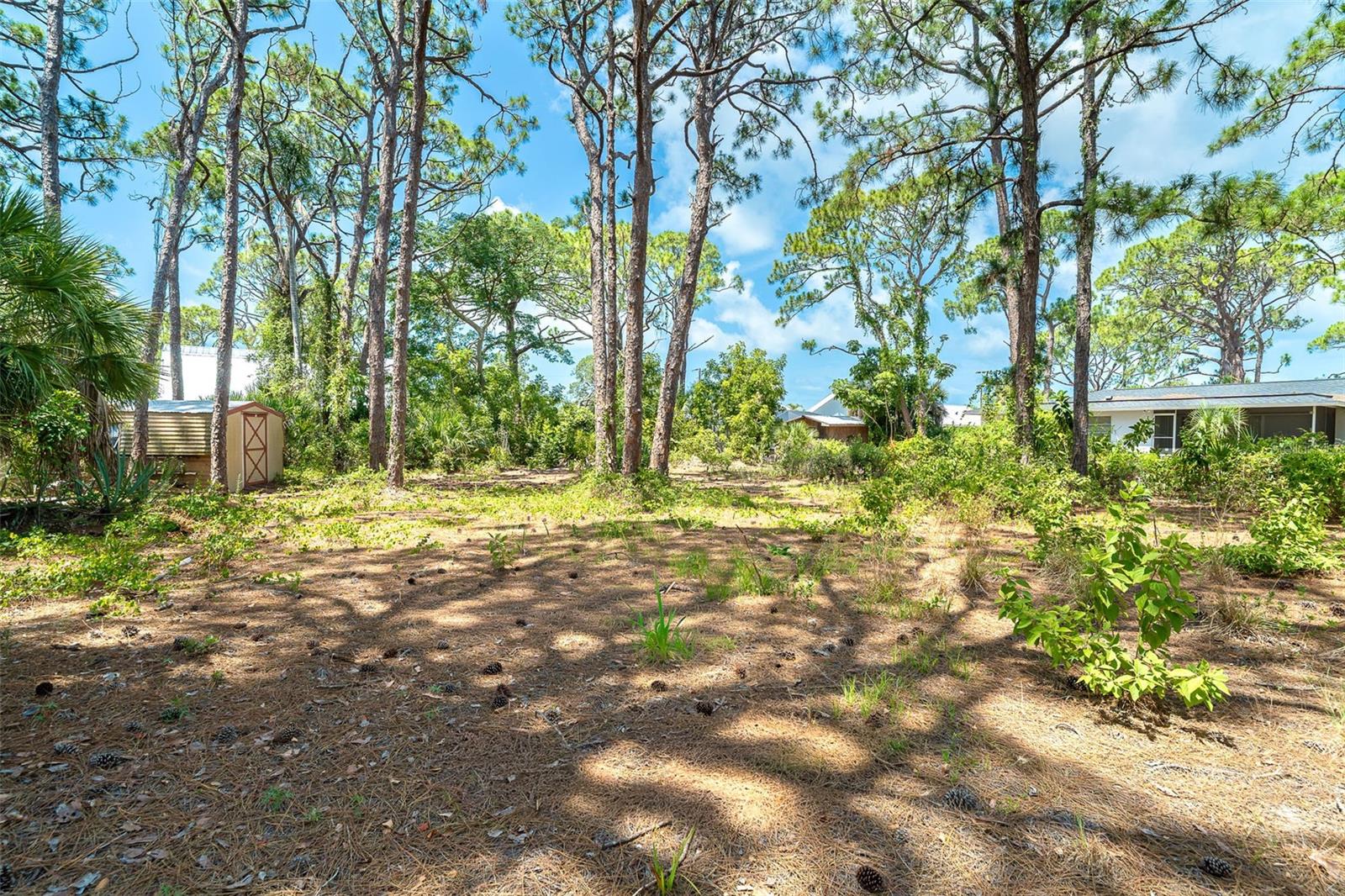 FLORIDA TROPICAL HOMESITES & LITTLE FARMS - Residential