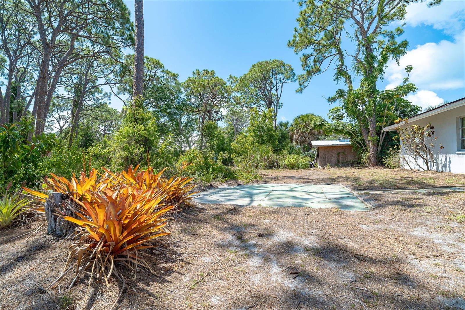 FLORIDA TROPICAL HOMESITES & LITTLE FARMS - Residential