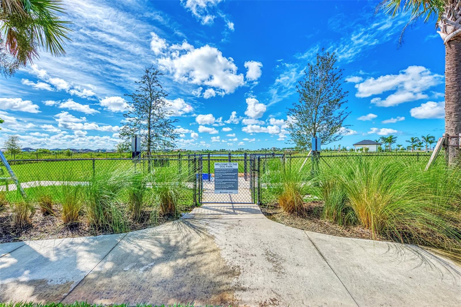 SKYE RANCH - CASSIA - Residential