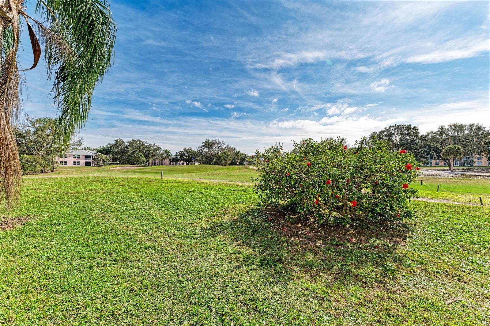 THE FAIRWAYS AT PINEBROOK PH 1 - Residential