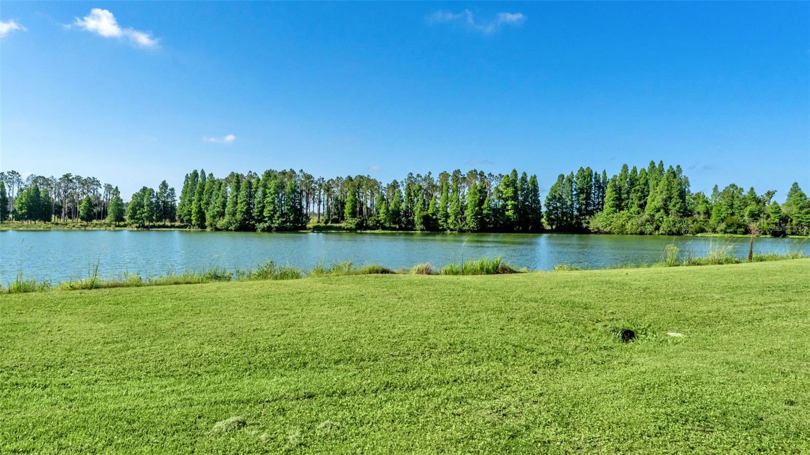 TIMBERS NORTH - Residential