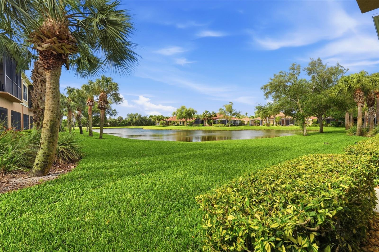 PALMA SOLA TRACE - Residential